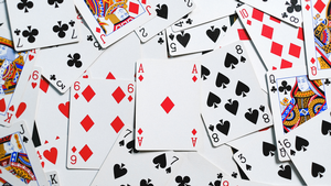 Bridge Club Beginner